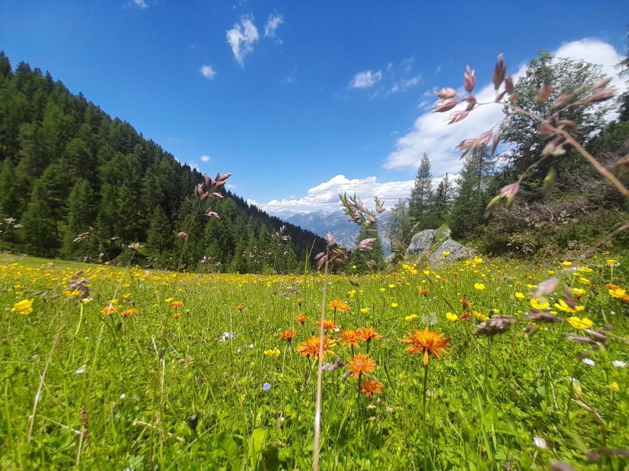 Ferienwohnung Goetzner Auszeit Innsbruck Ngoại thất bức ảnh