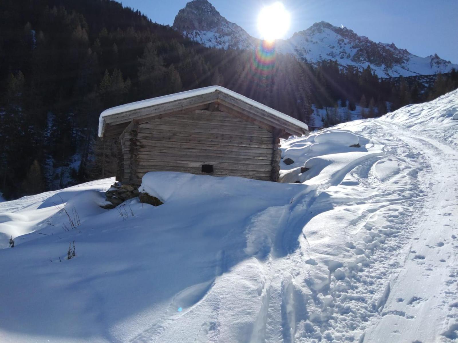 Ferienwohnung Goetzner Auszeit Innsbruck Ngoại thất bức ảnh