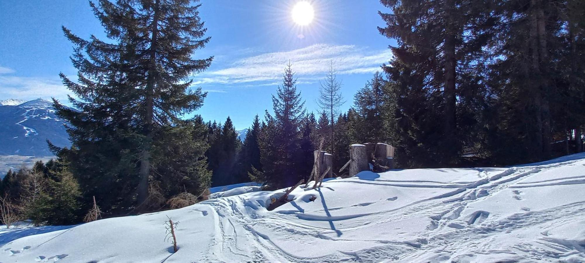 Ferienwohnung Goetzner Auszeit Innsbruck Ngoại thất bức ảnh