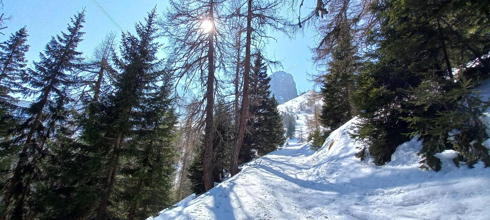 Ferienwohnung Goetzner Auszeit Innsbruck Ngoại thất bức ảnh